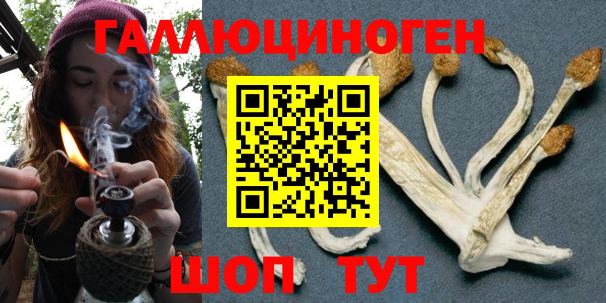 Омск  Псилоцибиновые грибы MAGIC MUSHROOMS  Вход с VPN  Псилоцибиновые грибы MAGIC MUSHROOMS 